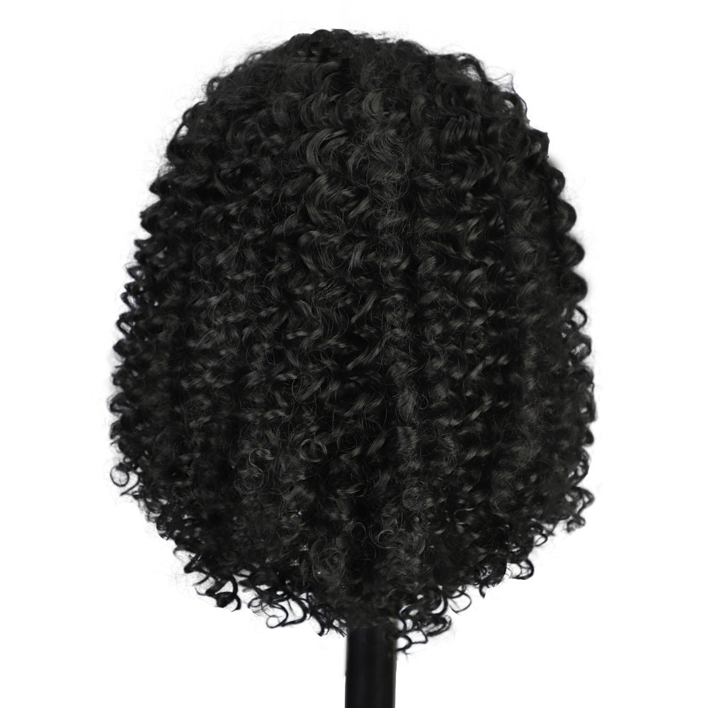 Perruque Afro Courte Dentelle Frontale - Effet Naturel ConiWell